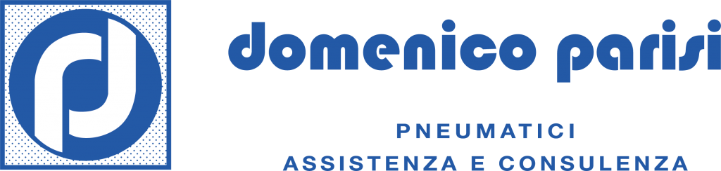Logo Domenico Parisi Pneumatici
