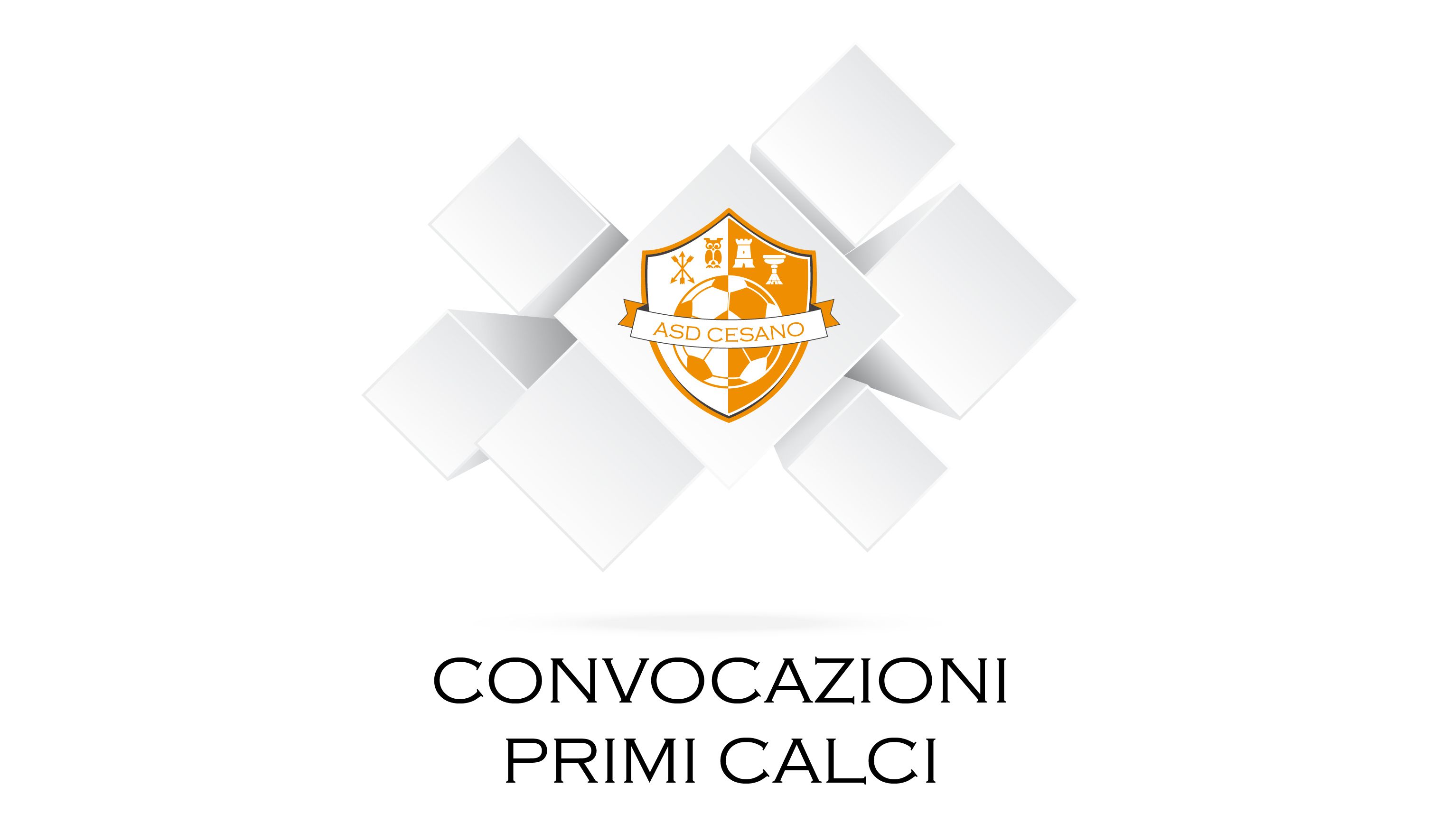 Al momento stai visualizzando (Primi Calci 2008) Cesano – Accademia Calcio Roma