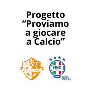 Scopri di più sull'articolo Progetto “Proviamo a giocare a Calcio”